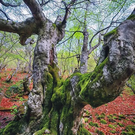 Casa de Campo Entre Valles Benllera