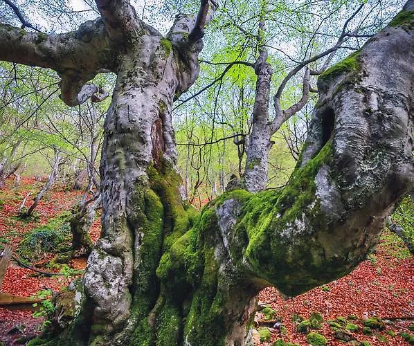 Country house Entre Valles Benllera