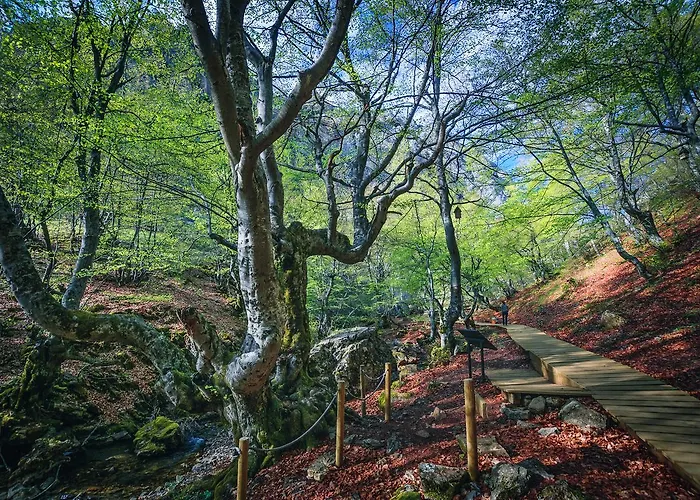 Entre Valles Benllera